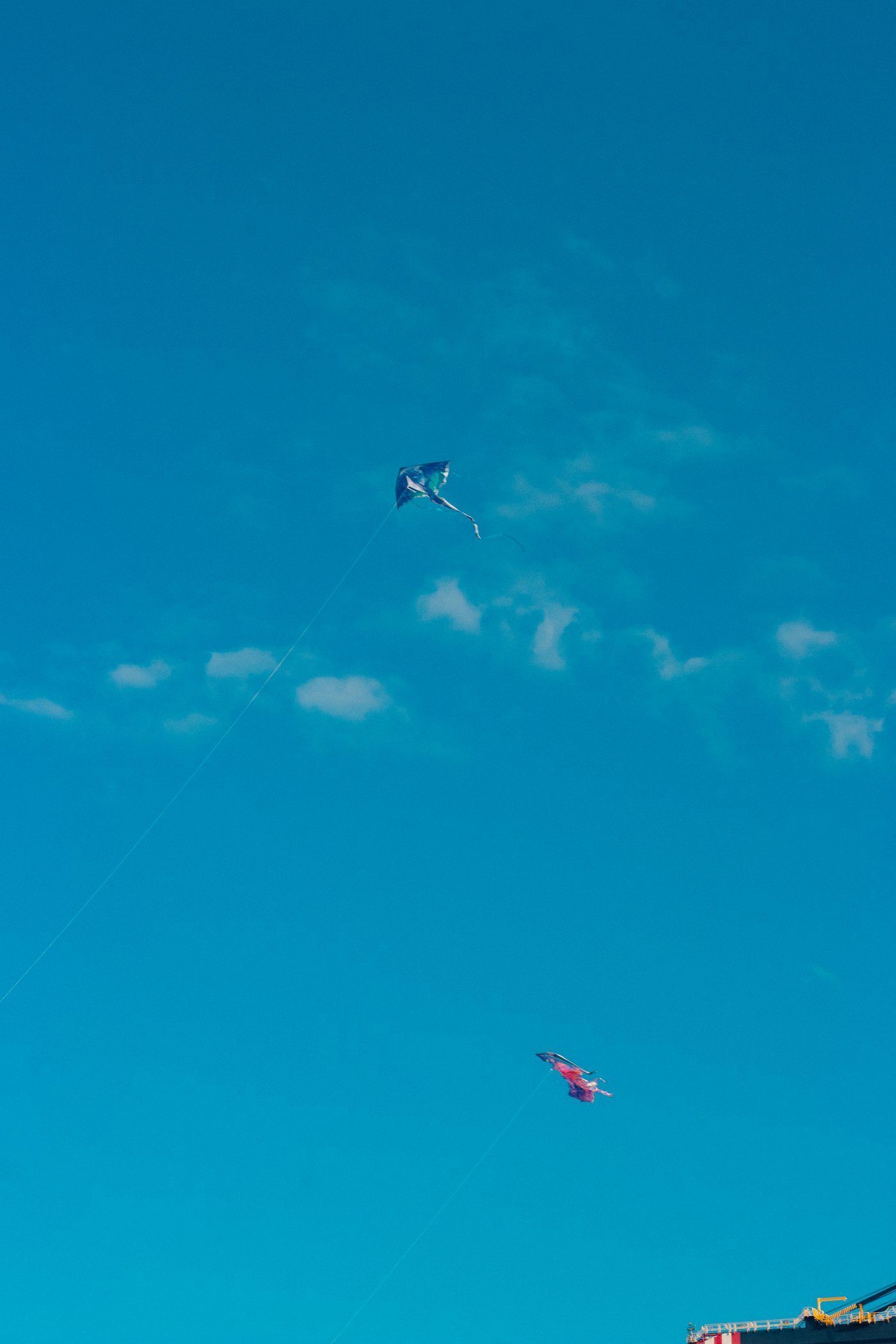 A collection of colorful kites soaring in a bright blue sky