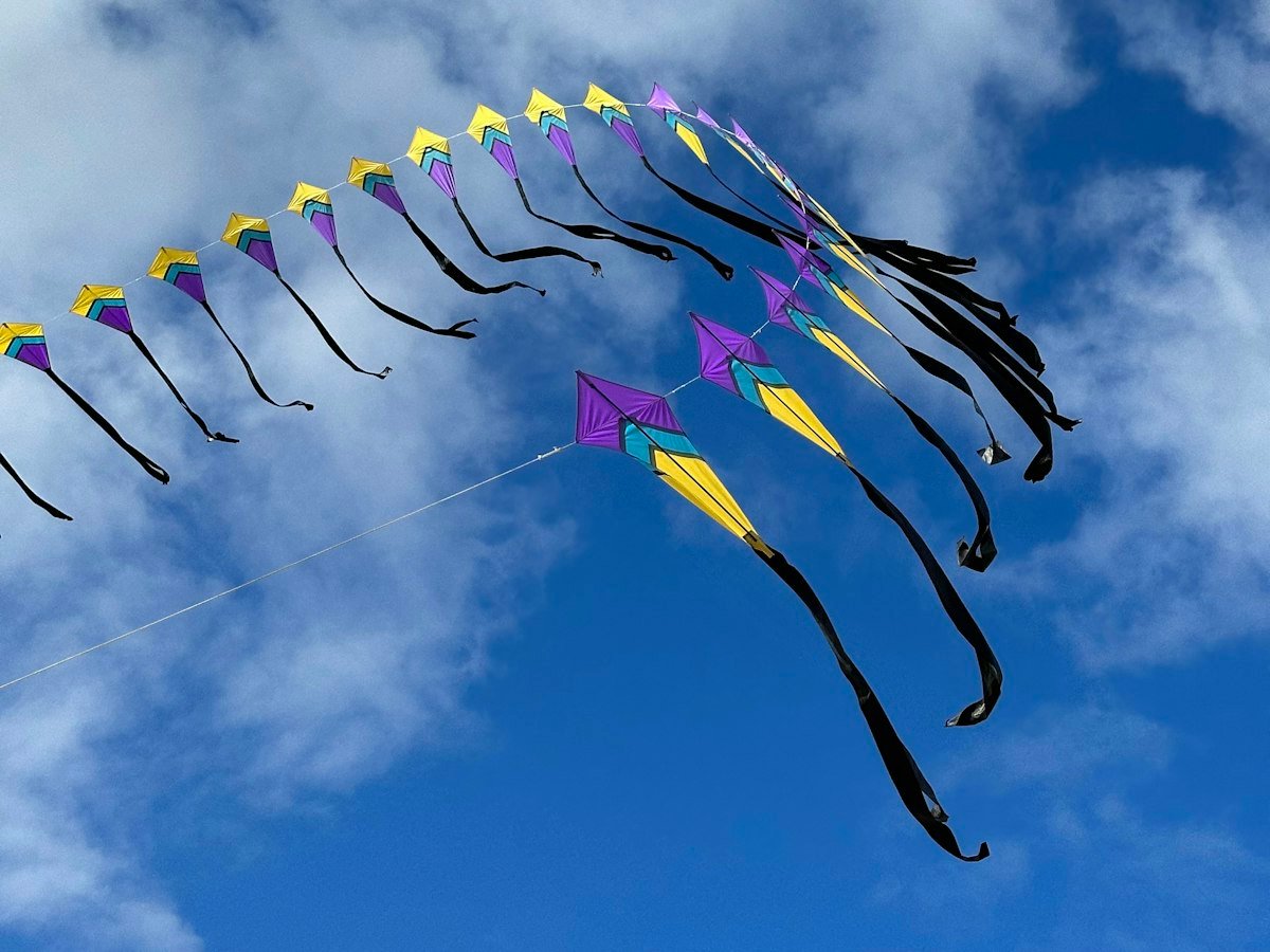 Kites against the festival sky