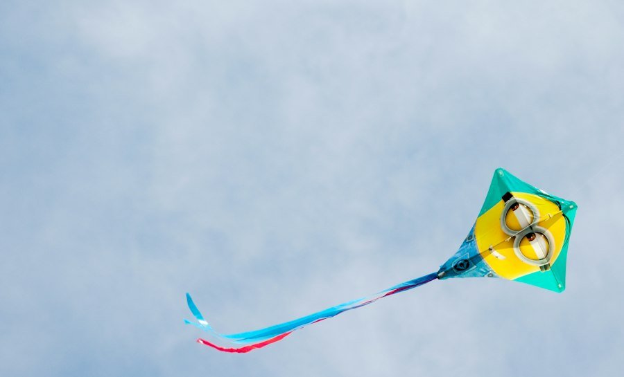 Kids Kites
