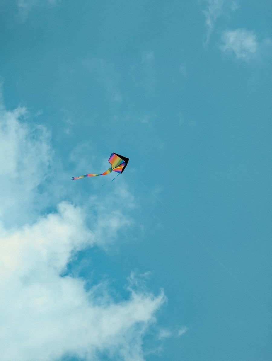 Premium Kites