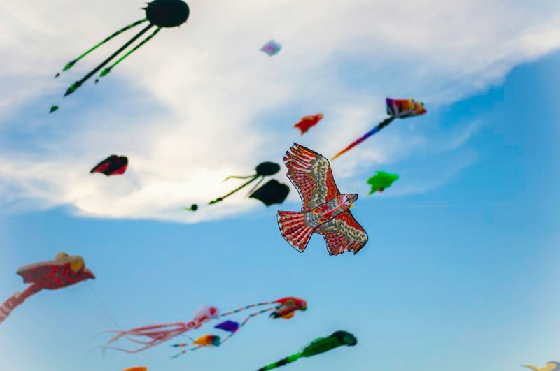 Stormfeather Fighter Kite