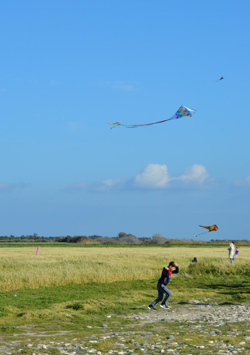 Windwhisper Sport Kite