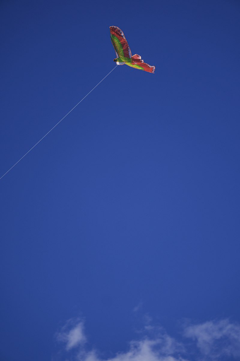 Patang Pro Mini Fighter
