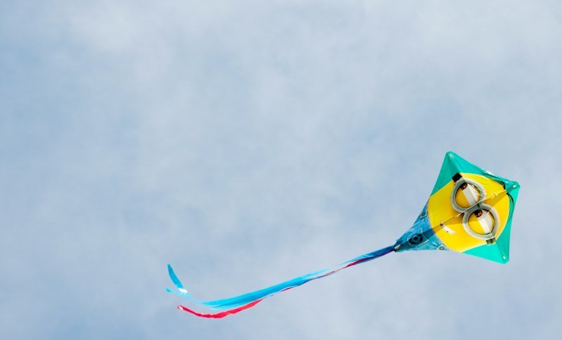 FunFly Cartoon Kite