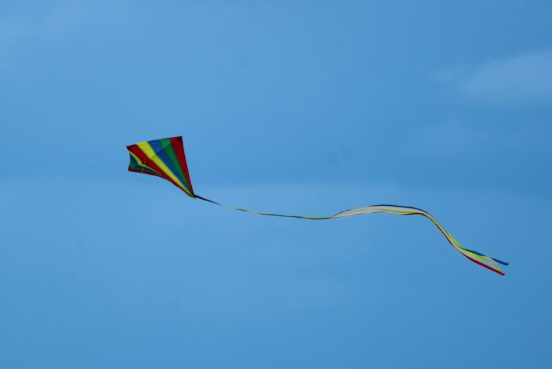 Basant Rainbow Festival Kite