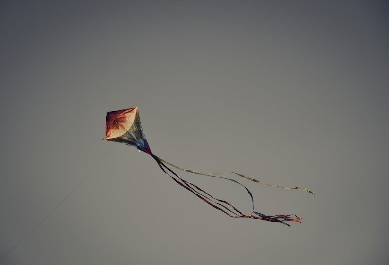 SkyChef Delta Premium Kite
